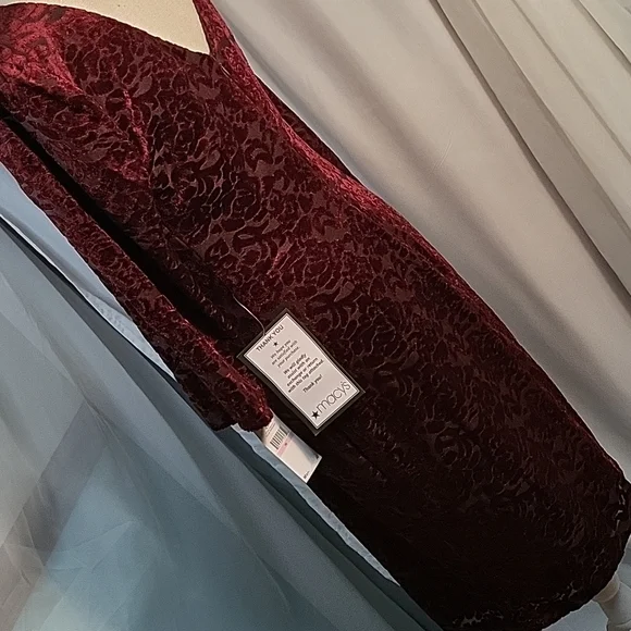 SLNY Deep Red Velvet Dress - Picture 4 of 7